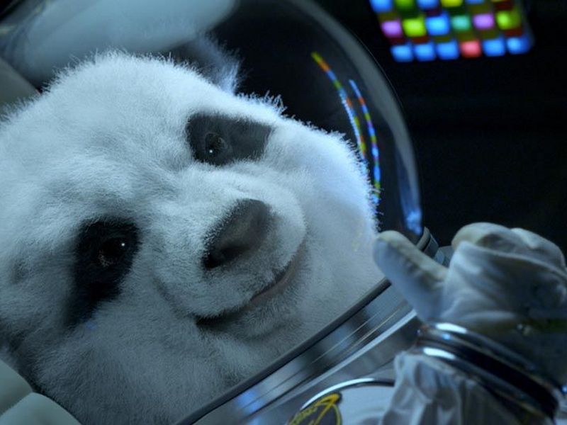 Виртуальный зал: «Панда из космоса», фантастическое путешествие.