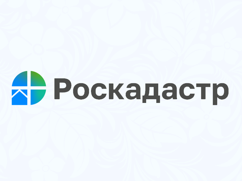 В краевом Роскадастре ответили на вопрос о приватизации.