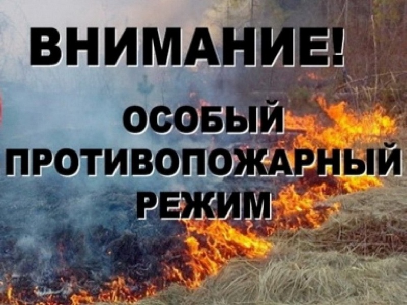 6 мая 2024 года на территории Красноярского края вводиться особый противопожарный режим.